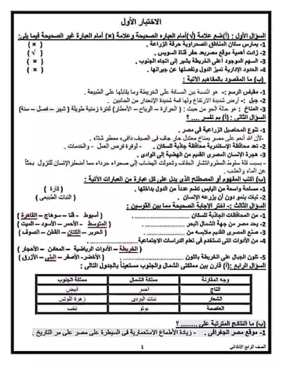 كاتب محتوى
