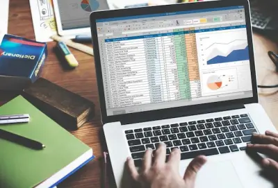 إدخال وتنظيم البيانات على إكسيل بدقة عالية وتنسيق احترافي