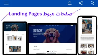 تصميم صفحات هبوط landing page احترافية تجذب الزوار وتحوّلهم لعملاء