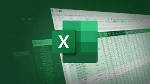 إدخال البيانات على برنامج Microsoft Excel باحترافية وتنظيم عالي