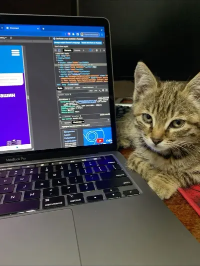 سأبرمج لك سكريبت Python ذكي لأتمتة أي مهمة مملة أو متكررة بسرعة ودقة