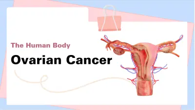 تصميم مواد طلابية كاملة جاهزة للتسليم: Brochure + Poster + PPT + Word