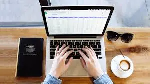 ادخال البيانات (data entry)