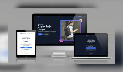 صفحة هبوط - Professional landing page