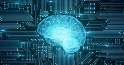 بناء نموذج تعلم الآلة باستخدام خوارزميات Machine Learning