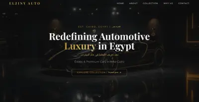 تصميم وتطوير مواقع احترافية