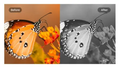 معالجة الصور وتحسين جودتها باستخدام Python وOpenCV