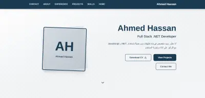 عمل بورتفوليو محترف