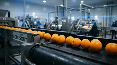 تطوير نموذج ذكاء اصطناعي للرؤية الحاسوبية والتصنيف باستخدام YOLOv8