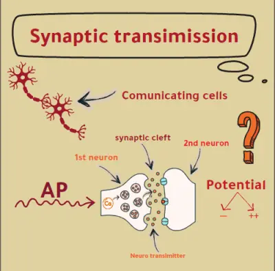 إنشاء فيديو وايت بورد تعليمي أو تسويقي باحتراف