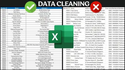 إدخال البيانات وتنظيفها وتنظيمها باحترافية باستخدام Excel
