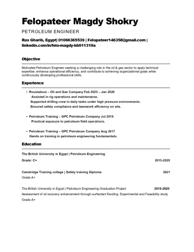 عمل ATS CV احترافي للشركات