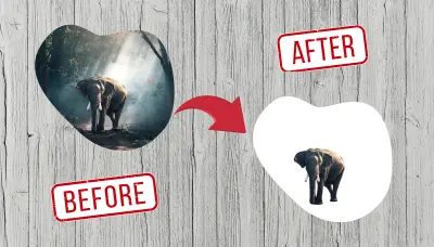 إزالة خلفية صورك باحترافية حقيقية ودقة في أدق التفاصيل