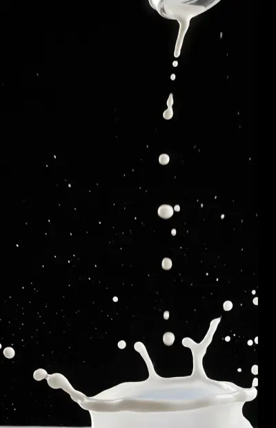 تصميم شاشة الترحيب للتطبيقات splash screen