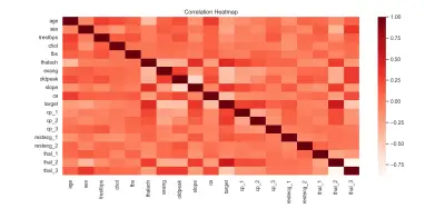 تصميم مشروع Machine Learning للتنبؤ بأمراض القلب باستخدام Python وGUI احترافي