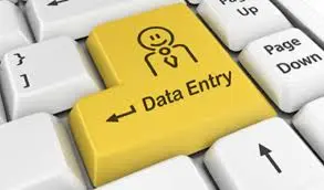 خدمة احترافية في إدخال البيانات pdf / Excel