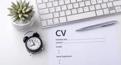 professional and visually appealing CV