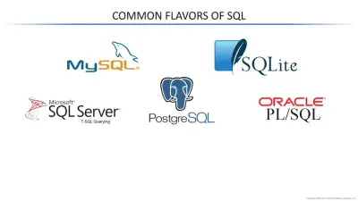 تصميم قاعدة بيانات MySQL احترافية وتنظيم ملفات Excel وCSV