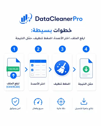خدمة تنظيف وتنظيم البيانات للعملاء في ثوانً