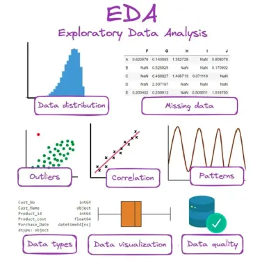 Professional Data Cleaning and Exploratory Data Analysis (EDA) in Python