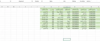 دخال بيانات وتنسيق جداول السجلات والمبيعات على Microsoft Excel