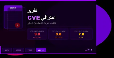 تقرير CVE احترافي بثغرات برامجك وأنظمتك مع خطة إصلاح كاملة